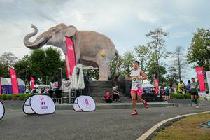 BIB: 
                            <button type="button" onclick="openModal(26528772)" class="btn btn-primary btn-sm float-right btn-popup" data-toggle="modal" data-target=".modal-high-quality">
                        <i class="fas fa-shopping-cart"></i> Add to Cart
                    </button>
                                            <button type="button" onclick="isThisMe(26528772, true)" class="btn btn-success btn-sm float-right btn-popup btn-isme hidden" data-toggle="tooltip" data-placement="bottom" title="นี่คือรูปของคุณใช่ไหม คลิกที่นี่เพื่อเอาเข้าอัลบั้ม">
                        <i class="fas fa-plus"></i> Add to album
                    </button>
                    <button type="button" onclick="isThisMe(26528772, false)" class="btn btn-warning btn-sm float-right btn-popup btn-isnotme hidden">
                        <i class="fas fa-ban"></i> Remove from album
                    </button>